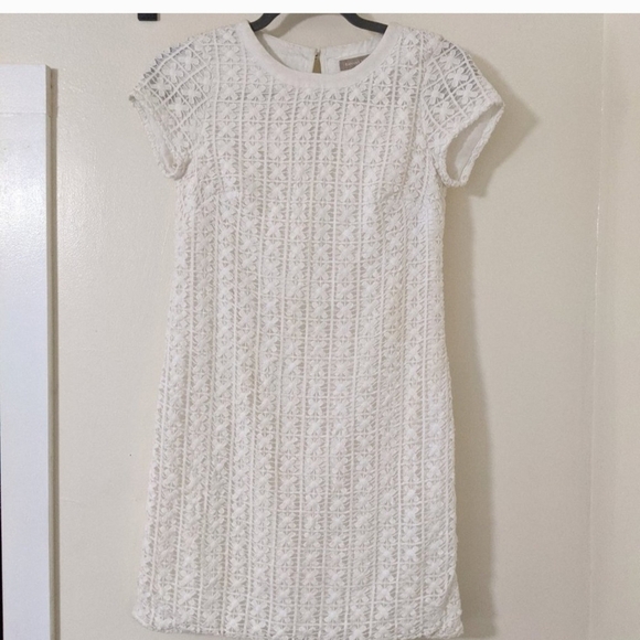 Banana Republic White Mini Dress - Picture 7 of 14